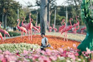 BIB: 
                            <button type="button" onclick="openModal(27344187)" class="btn btn-primary btn-sm float-right btn-popup" data-toggle="modal" data-target=".modal-high-quality">
                        <i class="fas fa-shopping-cart"></i> Add to Cart
                    </button>
                                            <button type="button" onclick="isThisMe(27344187, true)" class="btn btn-success btn-sm float-right btn-popup btn-isme hidden" data-toggle="tooltip" data-placement="bottom" title="นี่คือรูปของคุณใช่ไหม คลิกที่นี่เพื่อเอาเข้าอัลบั้ม">
                        <i class="fas fa-plus"></i> Add to album
                    </button>
                    <button type="button" onclick="isThisMe(27344187, false)" class="btn btn-warning btn-sm float-right btn-popup btn-isnotme hidden">
                        <i class="fas fa-ban"></i> Remove from album
                    </button>